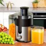Best Premium Multi-Function Juicer & 3" Wide-Mouth Food Processor - Image 13